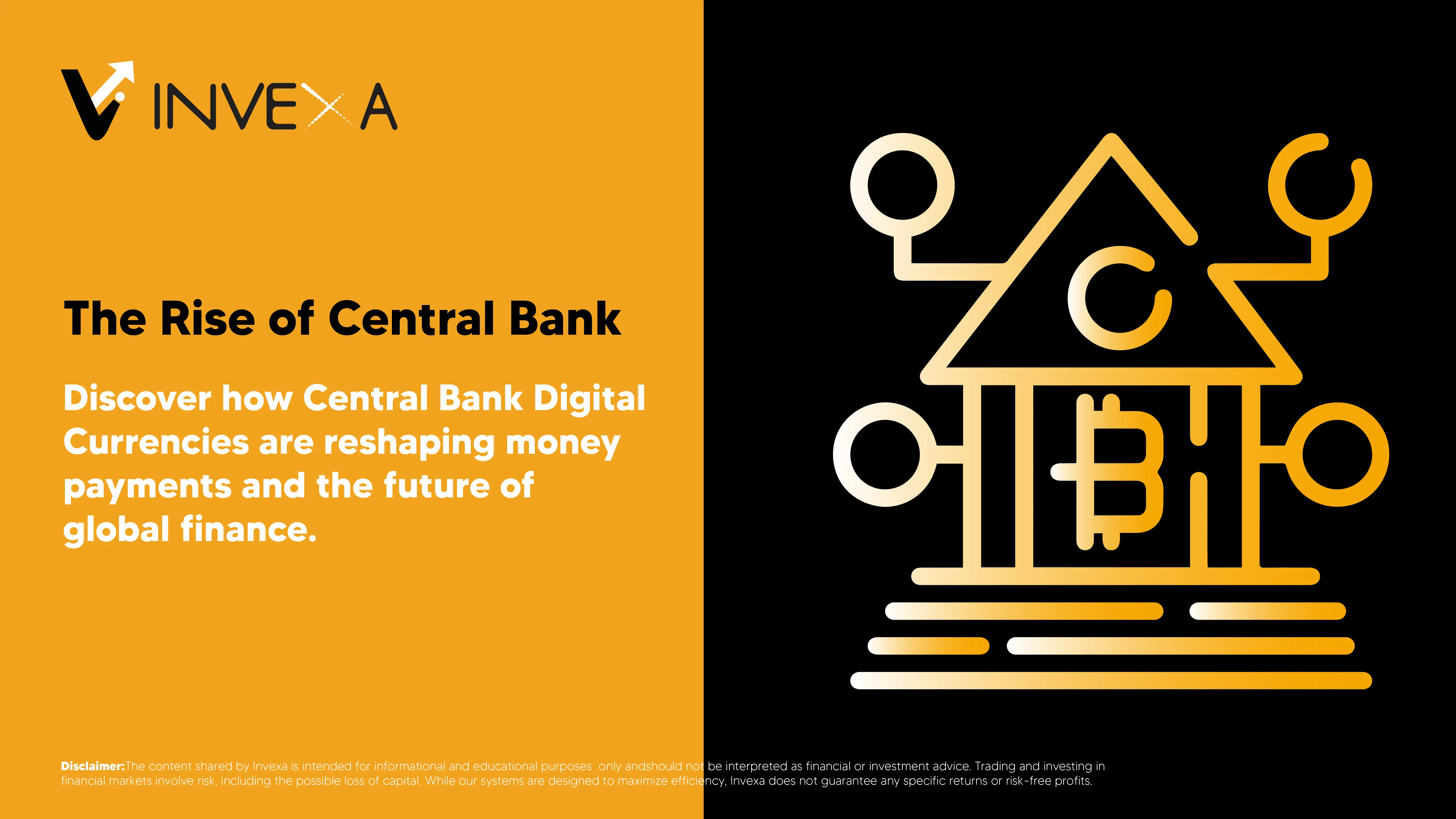 The Rise of Central Bank Digital Currencies